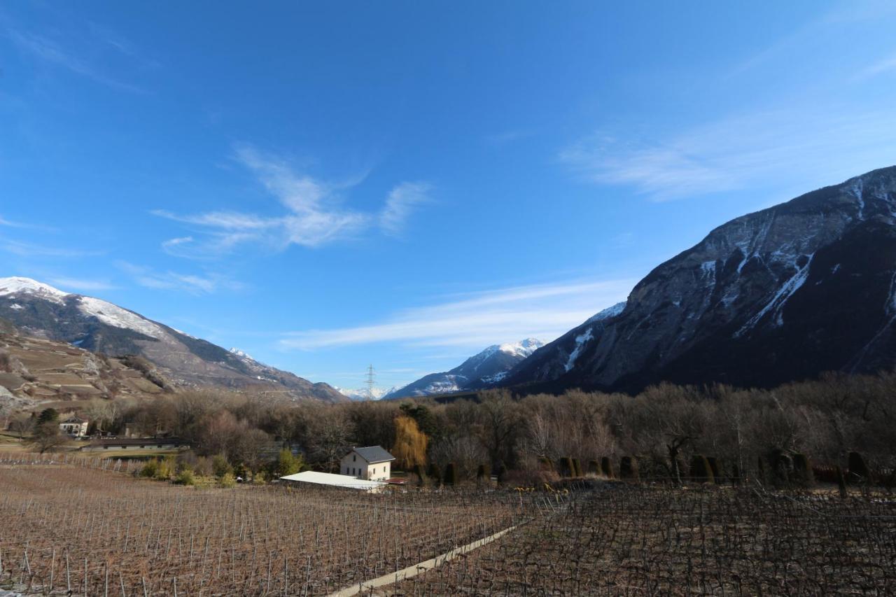 Bnb Vino Veritas Salgesch Ngoại thất bức ảnh