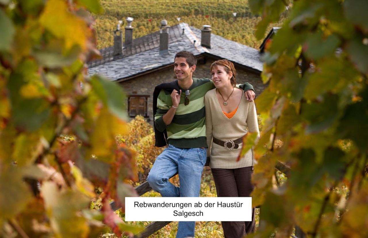 Bnb Vino Veritas Salgesch Ngoại thất bức ảnh